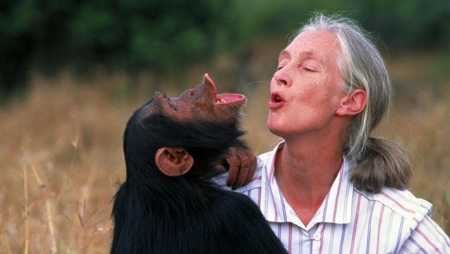 Jane Goodall