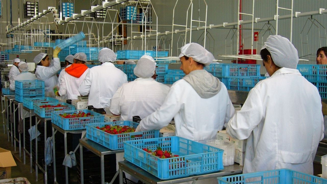 Mujeres trabajando