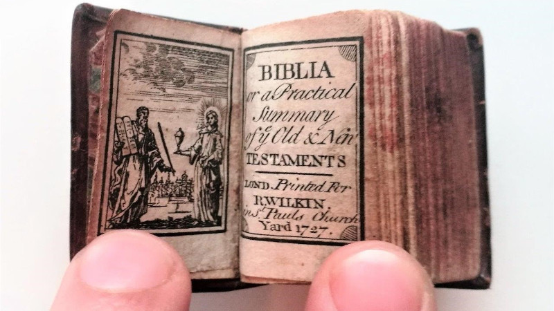 Bibliaminuscula