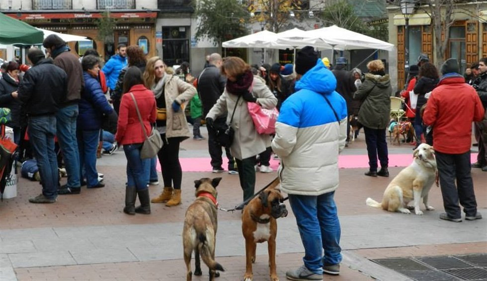 Gente paseando a sus perros