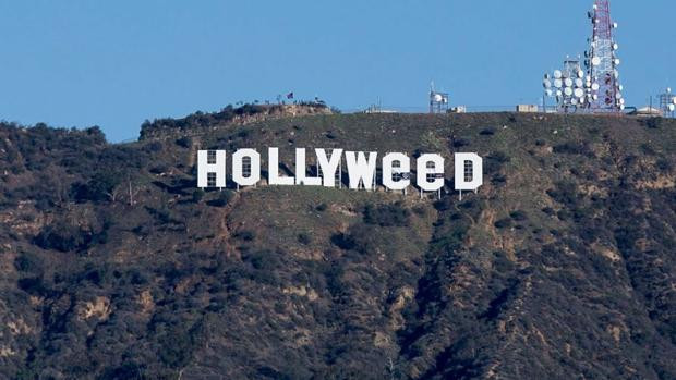 Hollyweed