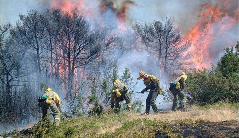 Incendio forestal