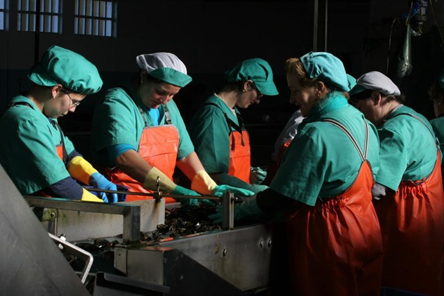 Mujeres trabajo