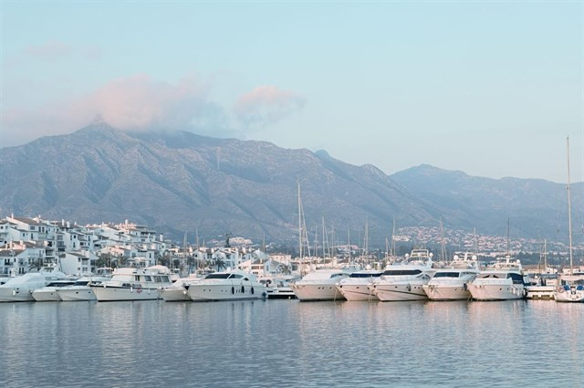 Puertobanus