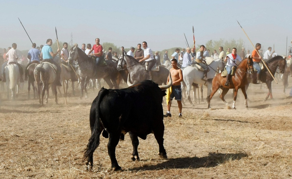 Toro vega tordesiilas 1