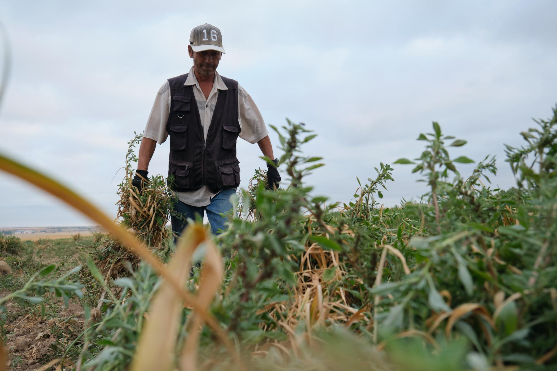 Agricultura asigna 13,8 millones de la reserva nacional de pago básico para nuevos agricultores y ganaderos