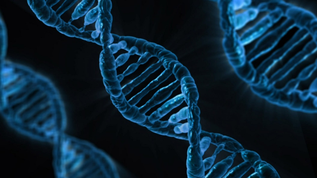 Estructuras de ADN