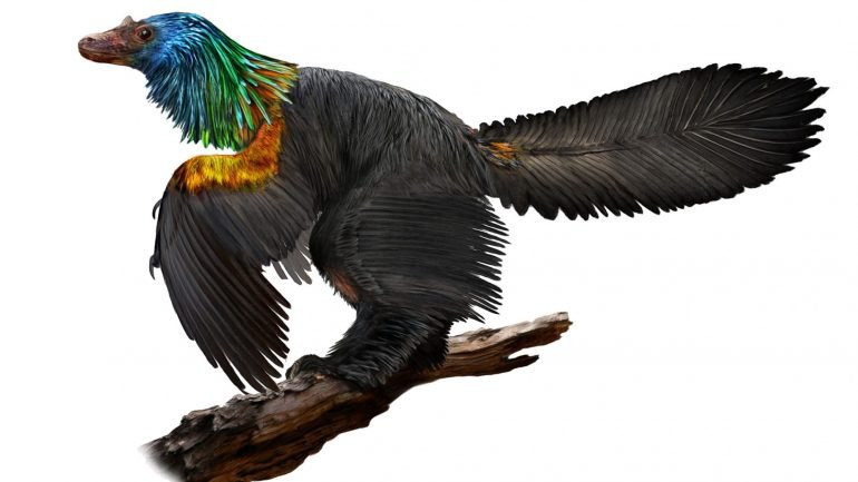 Caihong, el dinosaurio arco iris de China