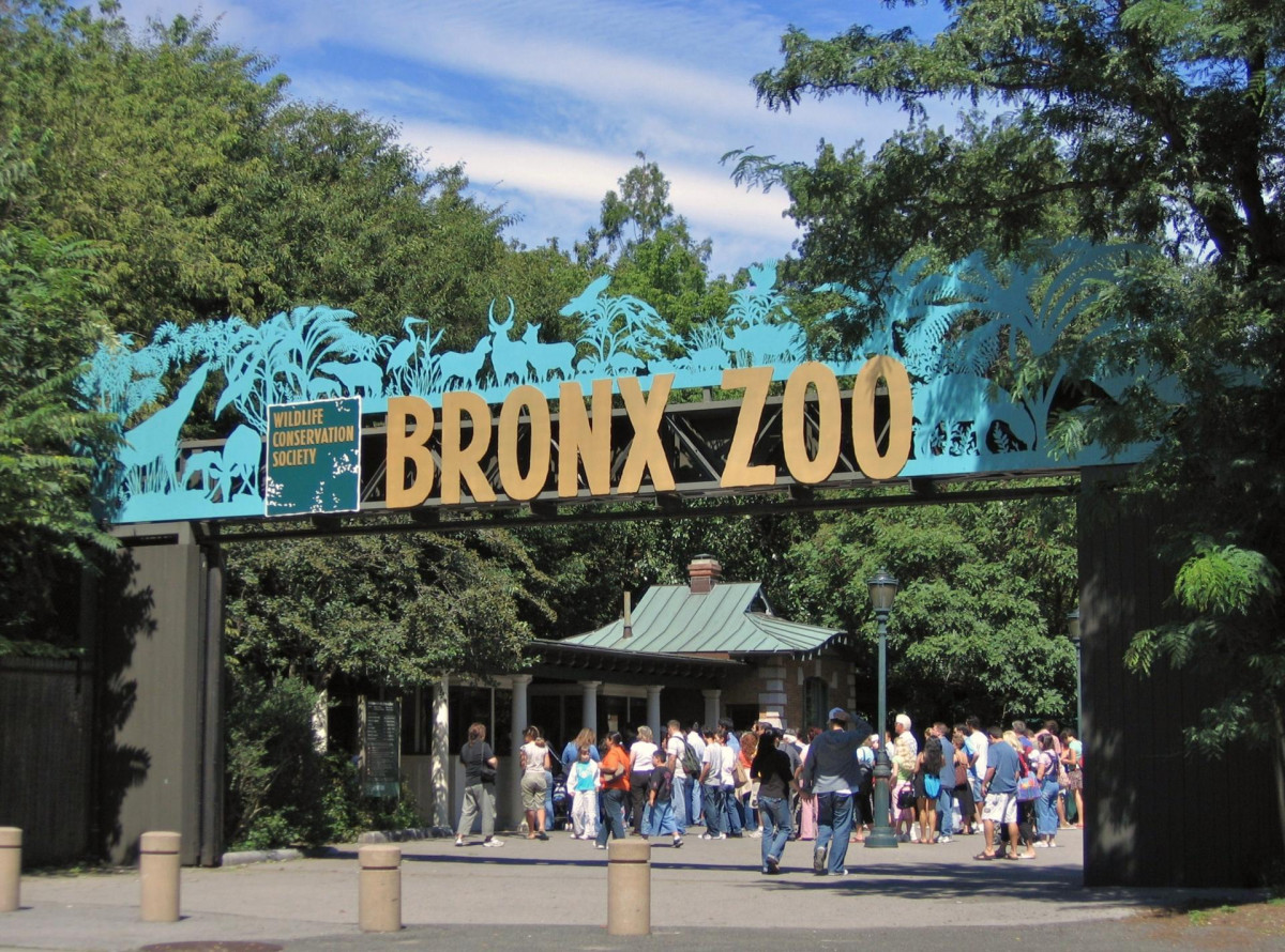 Bronx Zoo 001