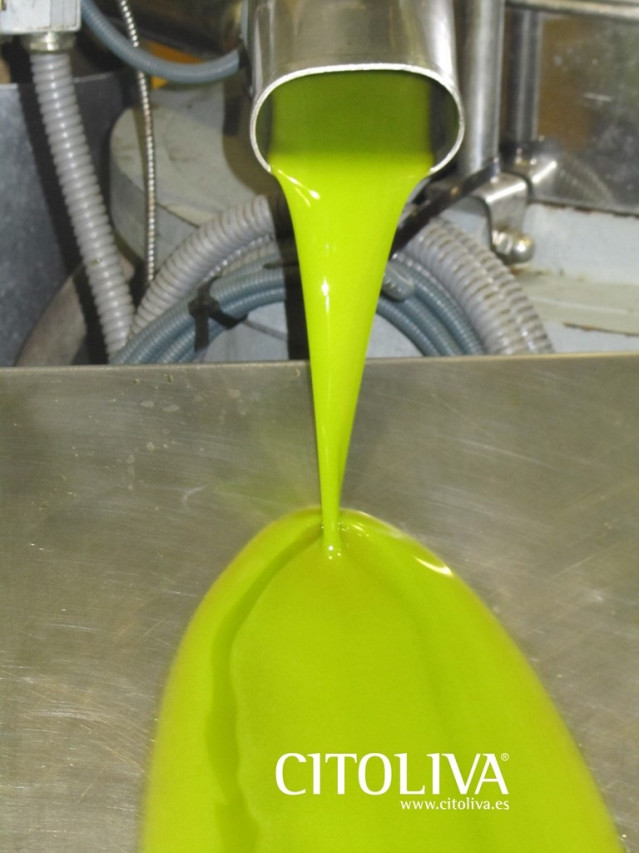 Archivo - Aceite de oliva en almazara.