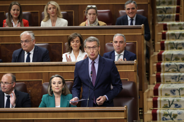 El presidente del PP, Alberto Núñez Feijóo, interviene durante una sesión de control al Gobierno, en el Congreso de los Diputados, a 24 de abril de 2024, en Madrid (España).