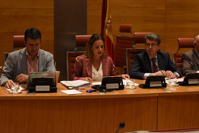 La secretaria de Estado para Iberoamérica, el Caribe y el Español en el Mundo, Susana Sumelzo, en el Senado.