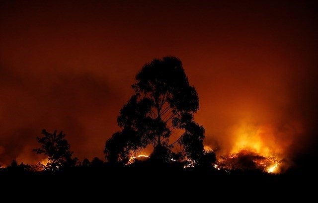 Incendioportugal