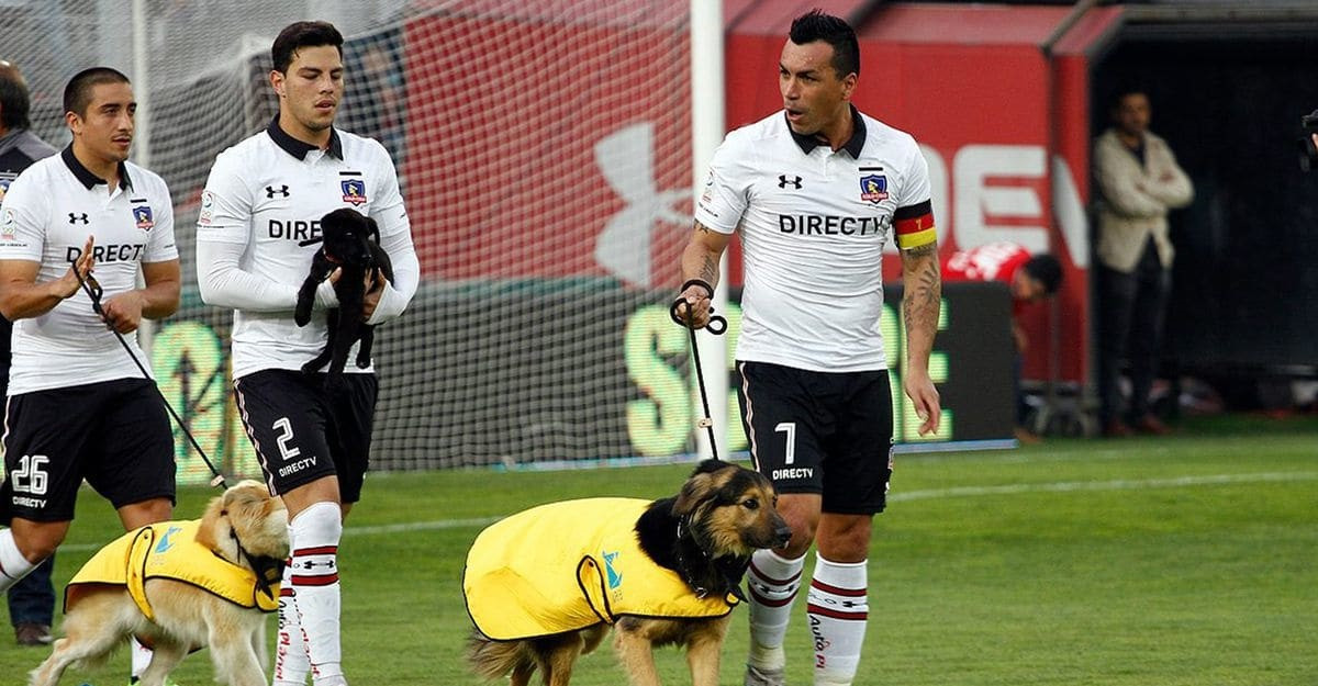 Colocolo 2