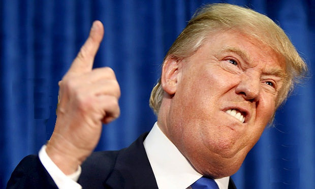 Donald trump 7