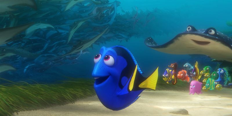Dory