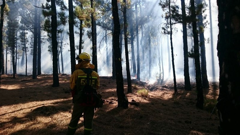 Incendio6 1