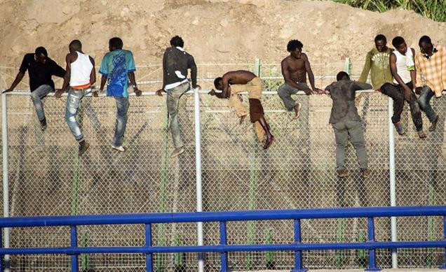 Decenas de inmigrantes, encaramados en distintos puntos de la valla de Melilla