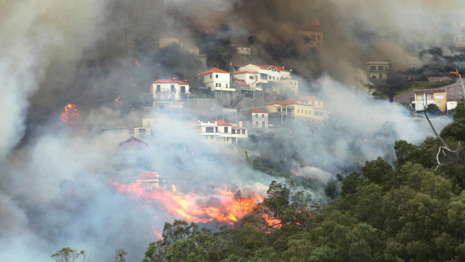 Madeira2