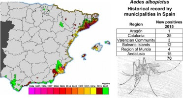 Mapa mosquito tigre