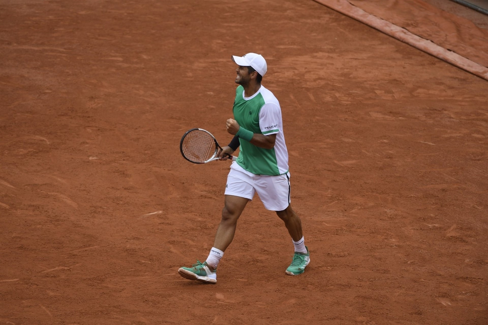 Verdasco