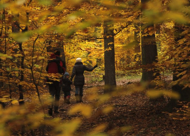 Otoño