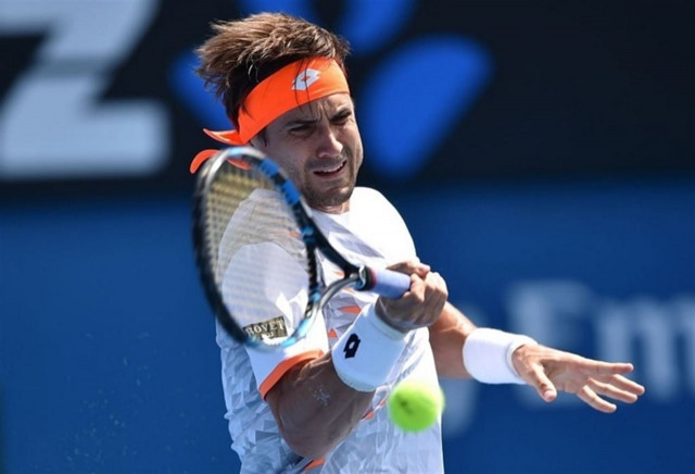 David Ferrer