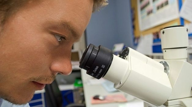 Investigadores cambian el comportamiento de un animal a través de ingeniería sináptica