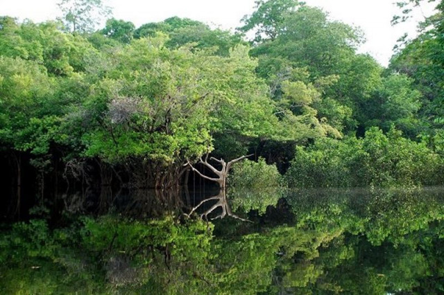 Planeta Tierra 