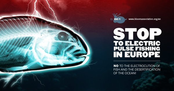 Stop pesca electrica