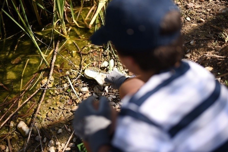 Recogida de basuraleza en el proyecto LIBERA de Ecoembes y SEO BIRDlIFE