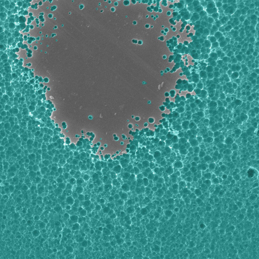 Imagen microscu00f3pica de la encima en el proceso de degradaciu00f3n del plu00e1stico