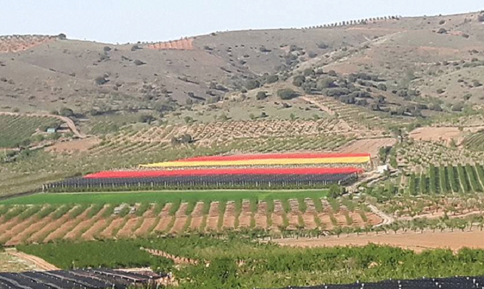 Bandera de Espau00f1a gigante Mountain Cherry