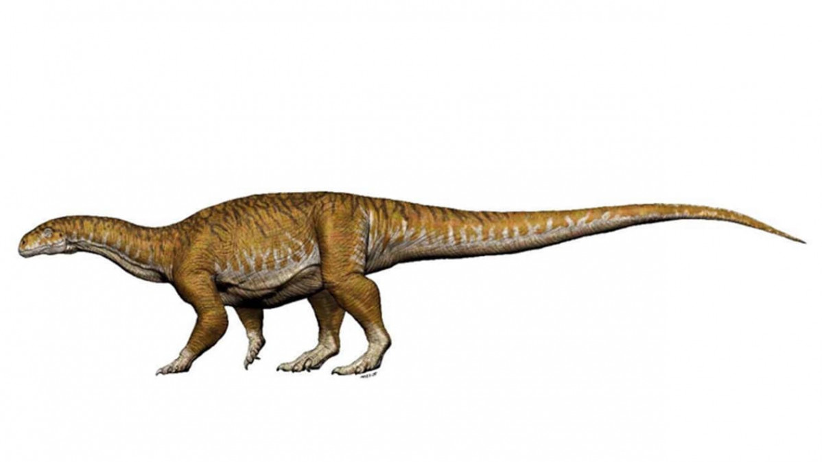 Dinosaurio gigante en Argentina