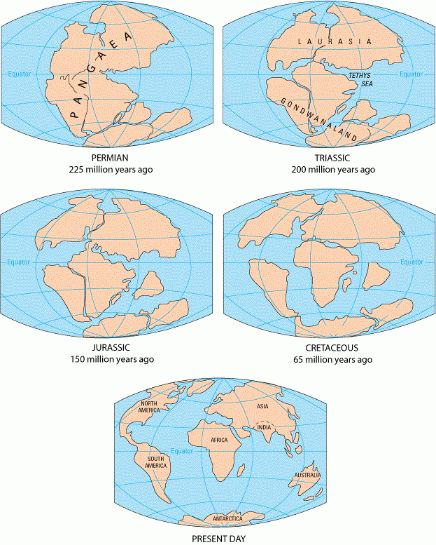Mapa de la evoluciu00f3n de las placas de la Tierra