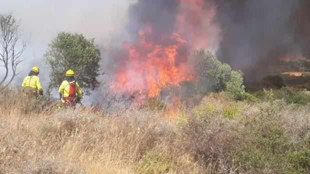 Incendio casares malaga infoca