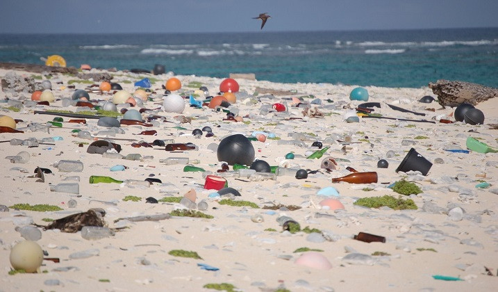 Plásticos en una playa