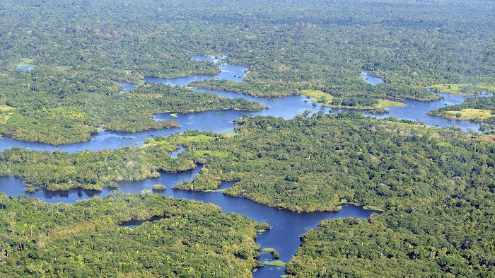 Amazonas