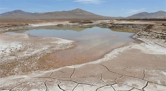 Desierto de Atacama tras las primeras lluvias en siglos