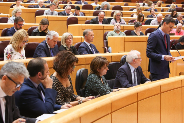 Pedro Sánchez en Sesión de control al Gobierno en el Senado