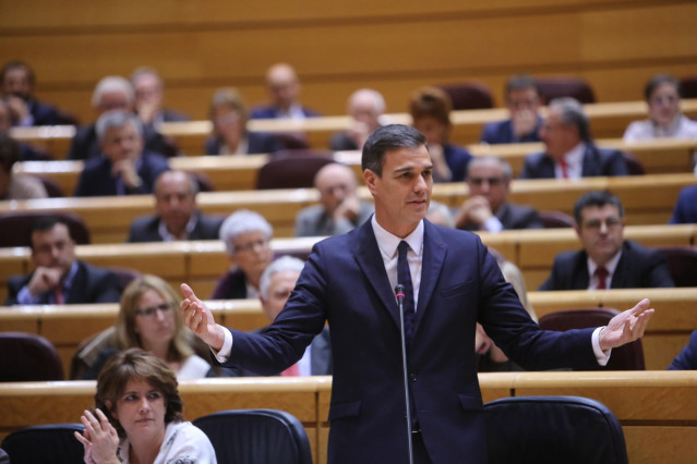 Pedro Sánchez en la sesión de control al Gobierno del Senado