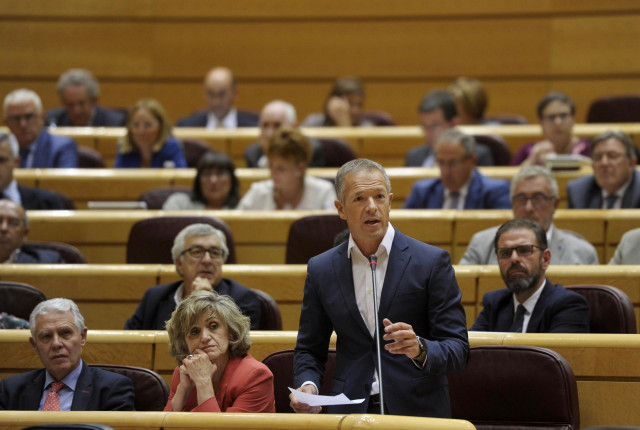 El portavoz del PSOE en el Senado, Ander Gil