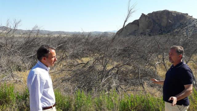 El alcalde de Lorca, Fulgencio Gil