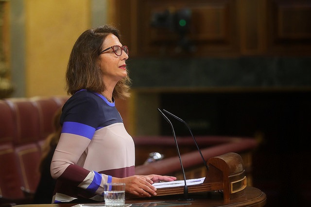 La portavoz adjunta del GPP, Isabel Borrego, en el Congreso