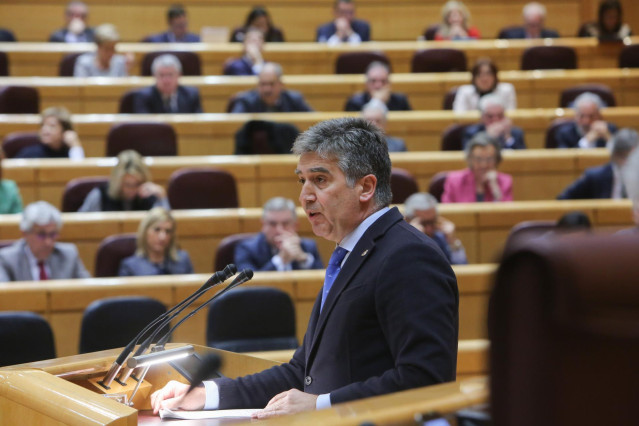 El portavoz del PP en el Senado, Ignacio Cosidó, y el Grupo Popular