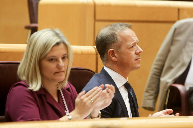 El portavoz del PSOE en el Senado, Ander Gil, durante un Pleno.