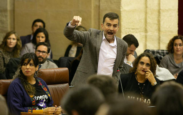Antonio Maíllo durante su intervención ante la Cámara