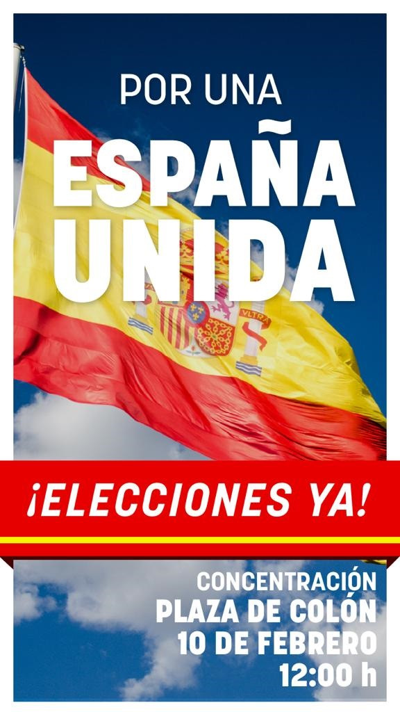Convocatoria y lema de la manifestación del domingo 10 de febrero contra Pedro S