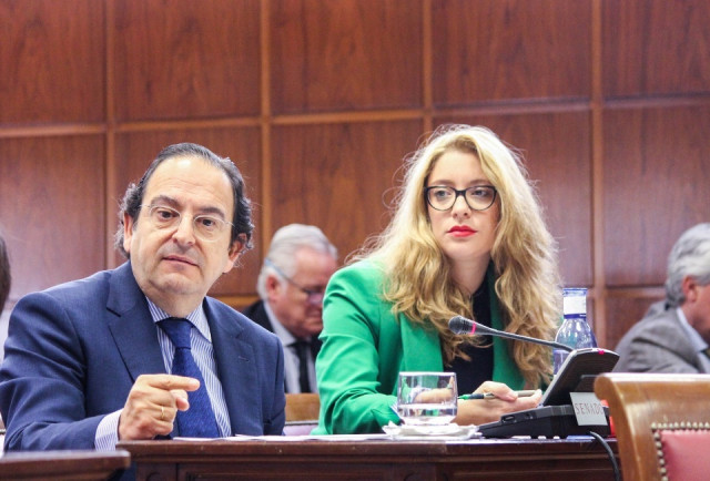 Luis Aznar, senador del PP