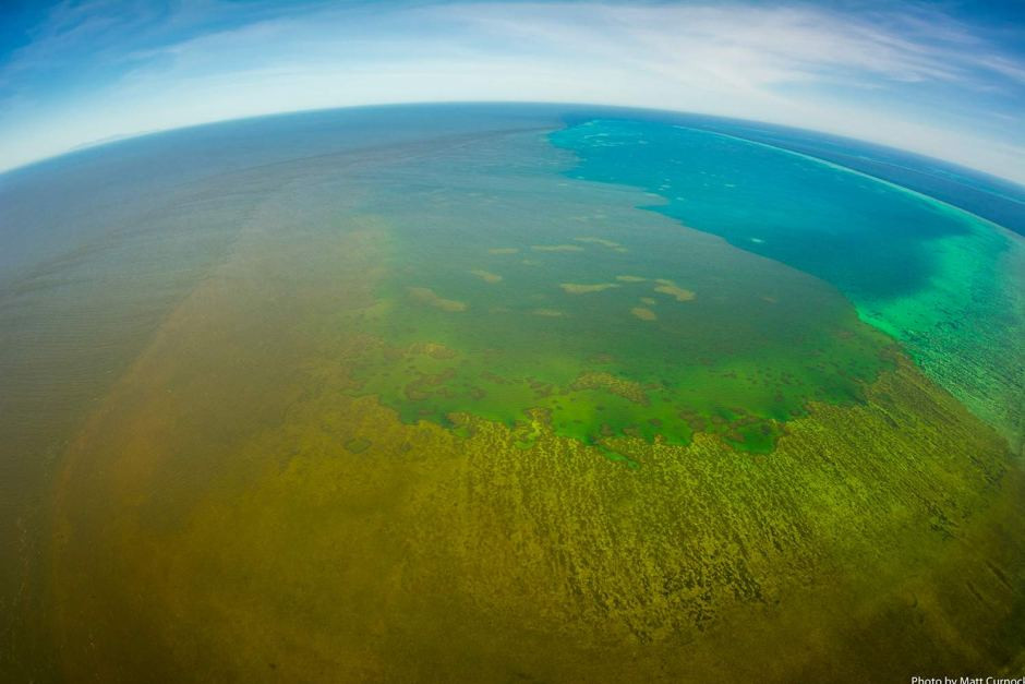 Gran barrera de coral, amenazada por riadas